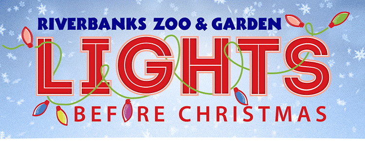 Lights Before Christmas at Riverbanks Zoo and Garden